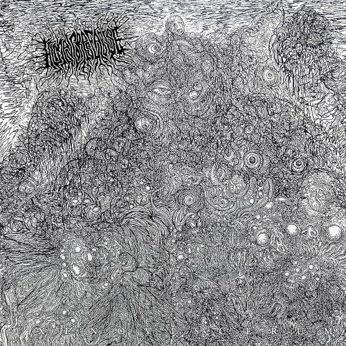 A1dUIKVEg+L._UF1000,1000_QL80_.jpg