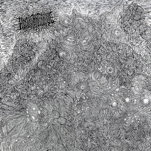 A1dUIKVEg+L._UF1000,1000_QL80_.jpg