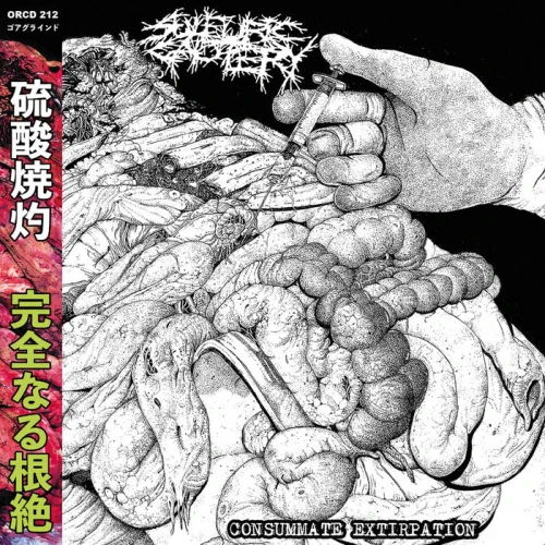 1401744.jpg