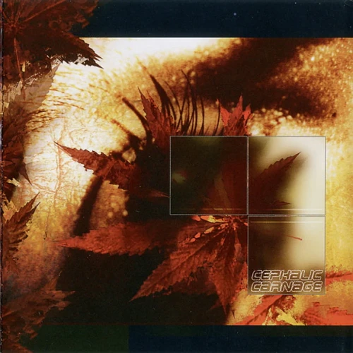 610